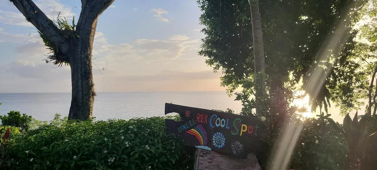 Wilton House Oceanview Cabin Hotel Mearnsville 0*,  Jamaica
