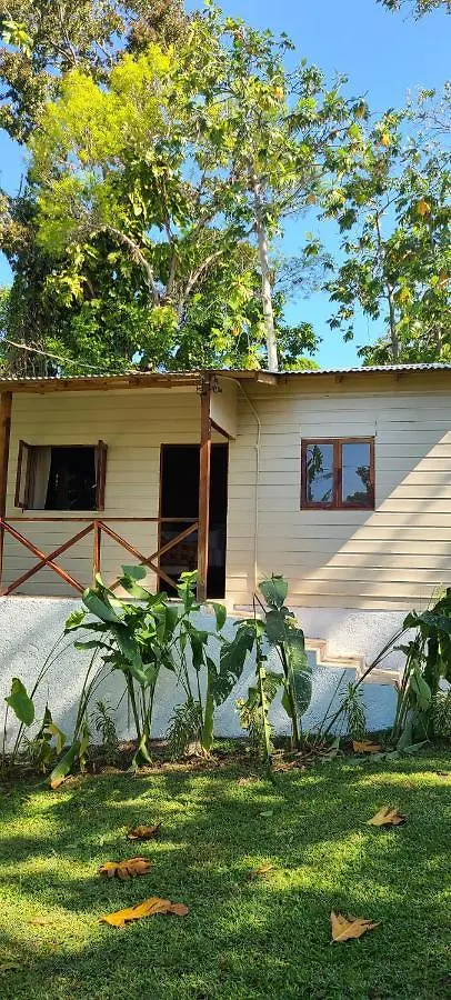 Wilton House Oceanview Cabin Hotel Mearnsville 0*,  Jamaica